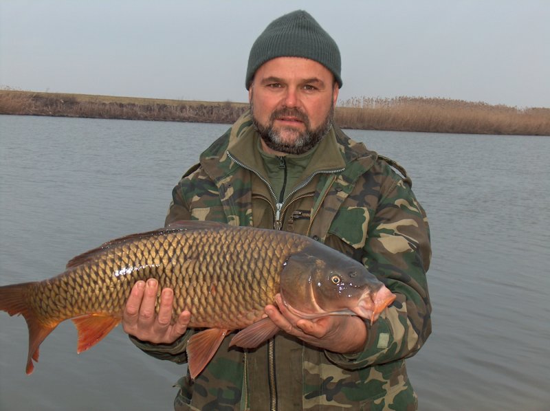comana50.jpg